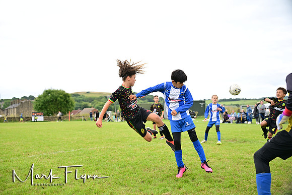 MAF_6204