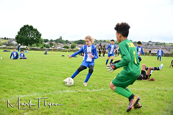 MAF_6217