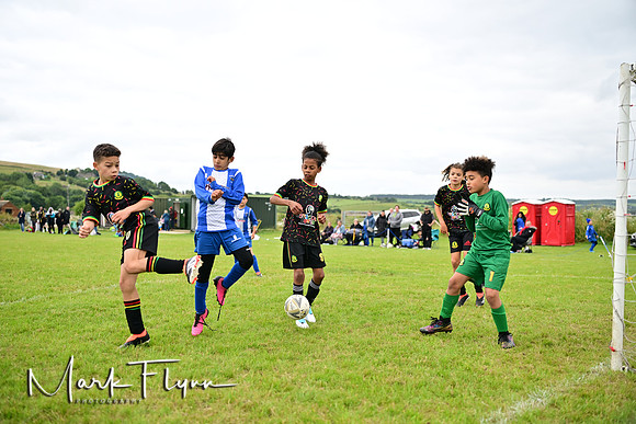 MAF_6220