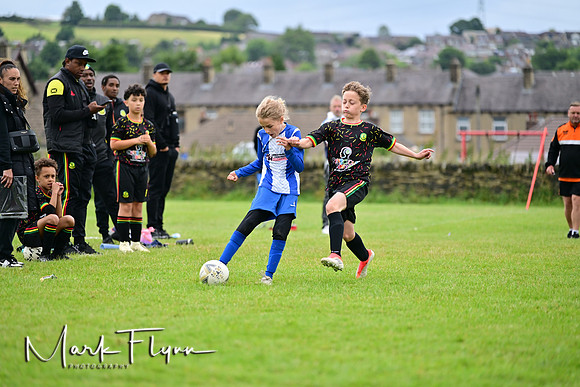 MAF_6234