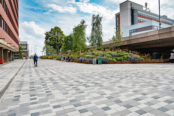 SheffieldUNI-36
