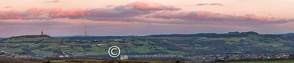 HONLEYWEB