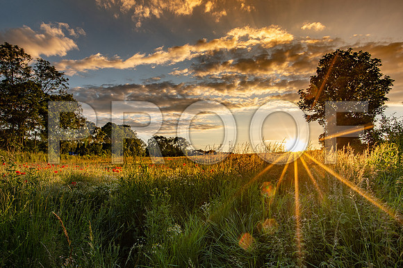 MAF_0292