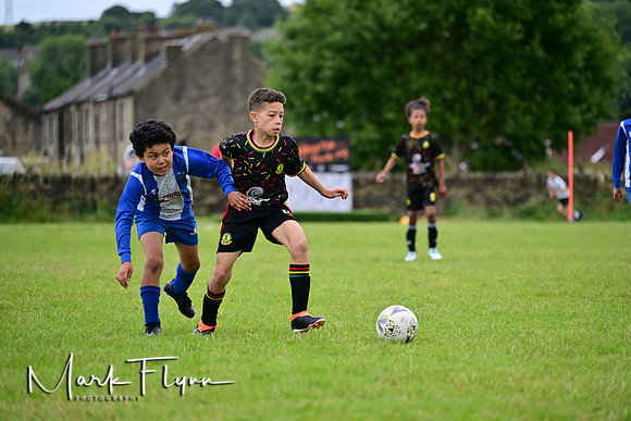 MAF_6195