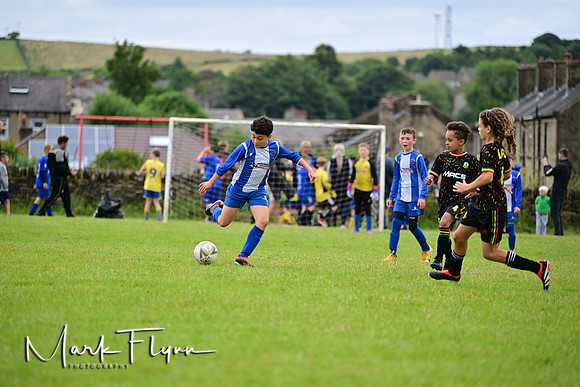 MAF_6208