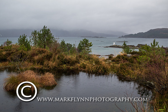 M8F-195