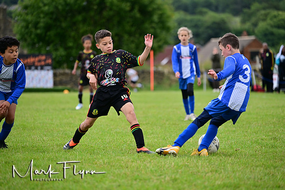 MAF_6196